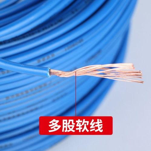 棕榈树与输电线,和谐共生还是安全隐患