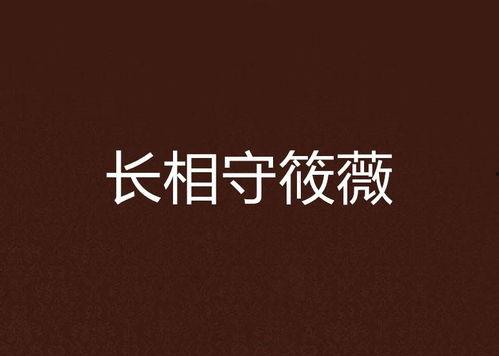 长相守,穿越时空的浪漫传奇