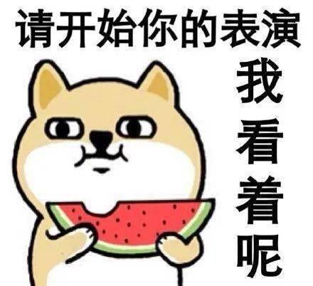 督军，你家奶团子又锦鲤附体了