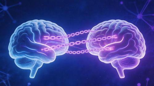 记忆交换,探索心灵深处的交换之旅